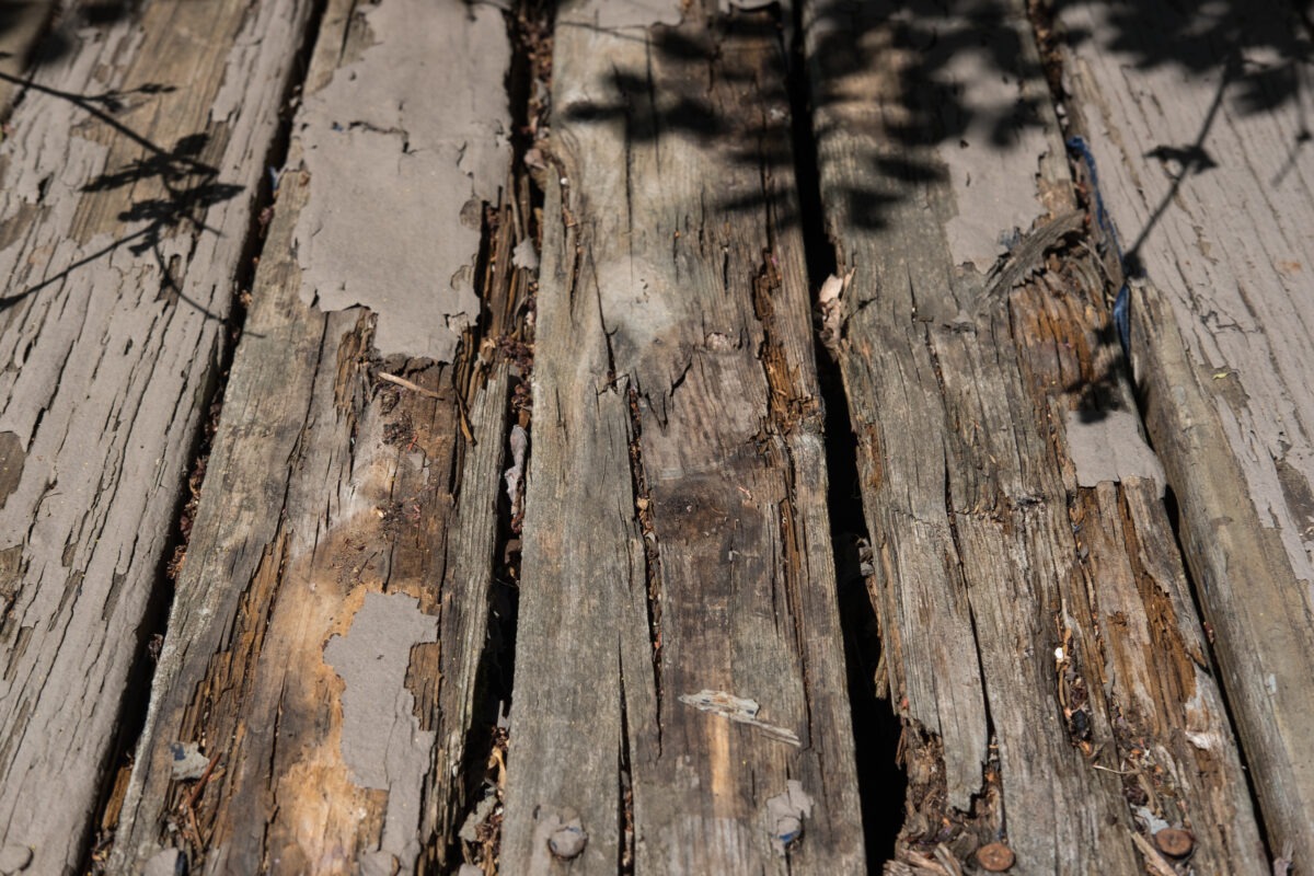 Old damaged rotting deck; wood texture with peeling paint and shadows of nearby plants