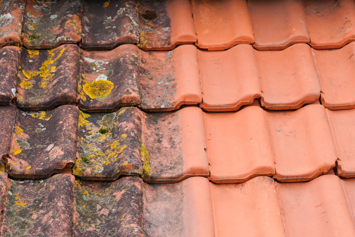 Comparison roof top before and after cleaning moss lichen high pressure water cleaner tile